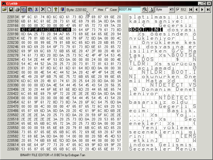 binary_format
